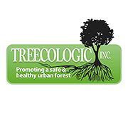 508558460 2801938800014453 1545033872628659928 n